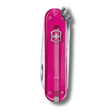 Logotrade Werbegeschenke das Foto: Taschenmesser Classic SD transparent Victorinox
