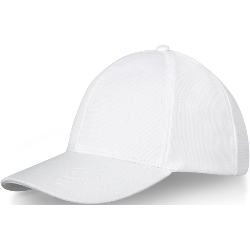Logo trade promotional items picture of: Drake 6 panel trucker cap