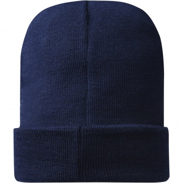 Logotrade promotional gift picture of: Hale Polylana® beanie