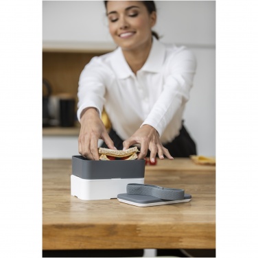 Logotrade promotional merchandise picture of: MIYO double layer lunch box
