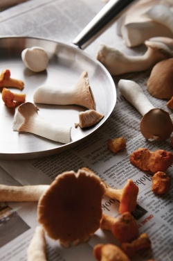 Logo trade advertising products image of: VINGA Vici Outdoor Pan