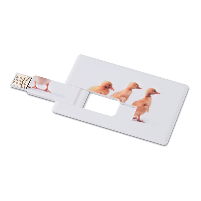 Logotrade promotional item picture of: Creditcard. USB flash 4GB