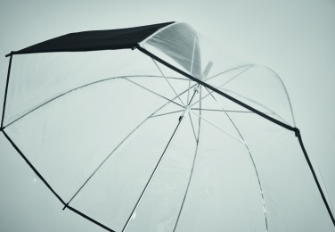 Logotrade business gifts photo of: Transparent 23 inch manual open umbrella