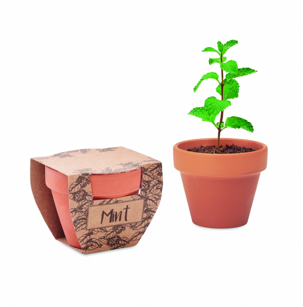 Logotrade promotional gifts photo of: Terracotta pot mint seeds