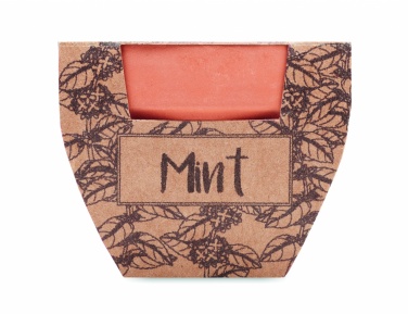 Logo trade promotional item photo of: Terracotta pot mint seeds