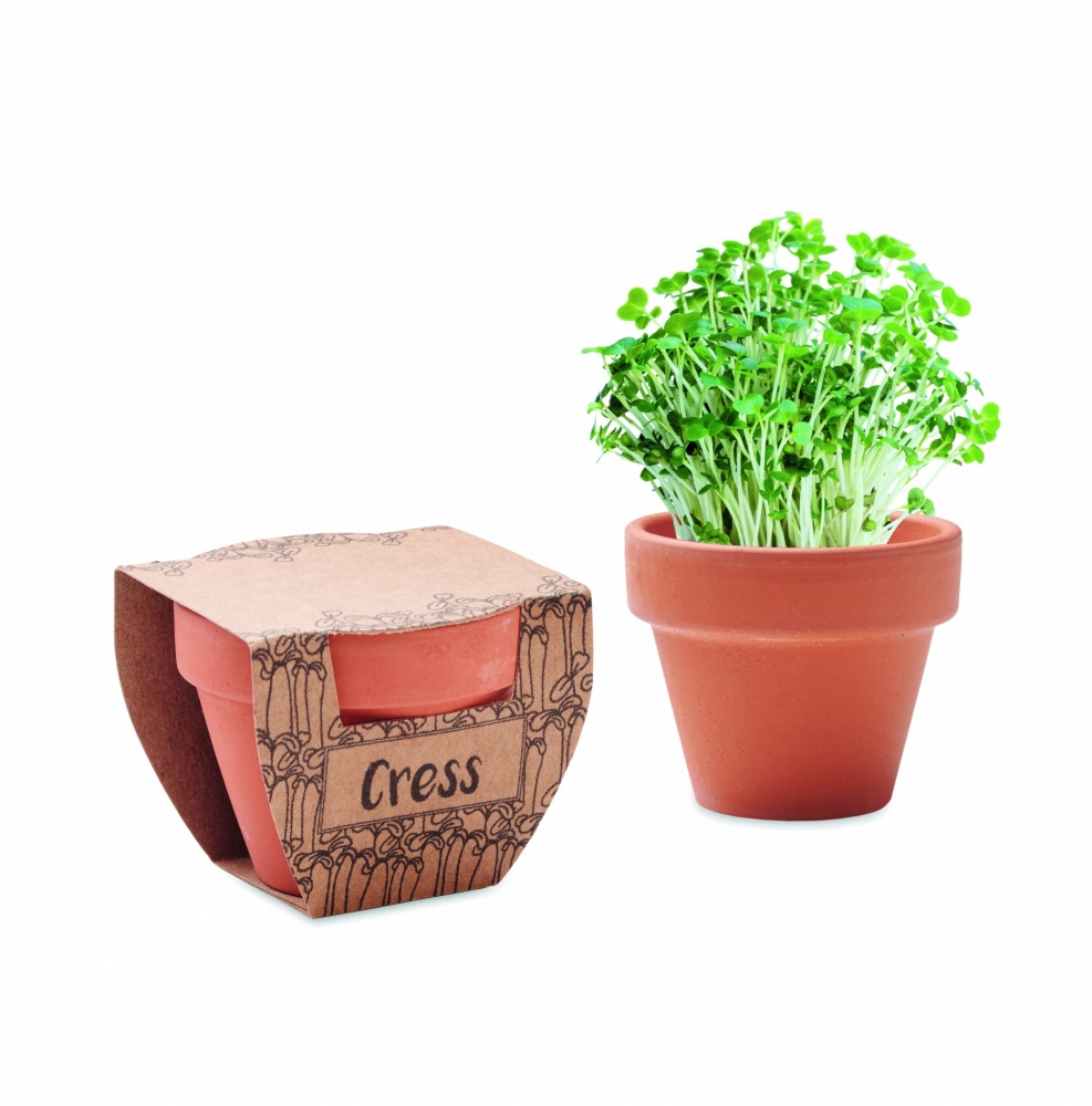 Logo trade advertising product photo of: Terracotta pot cress seeds