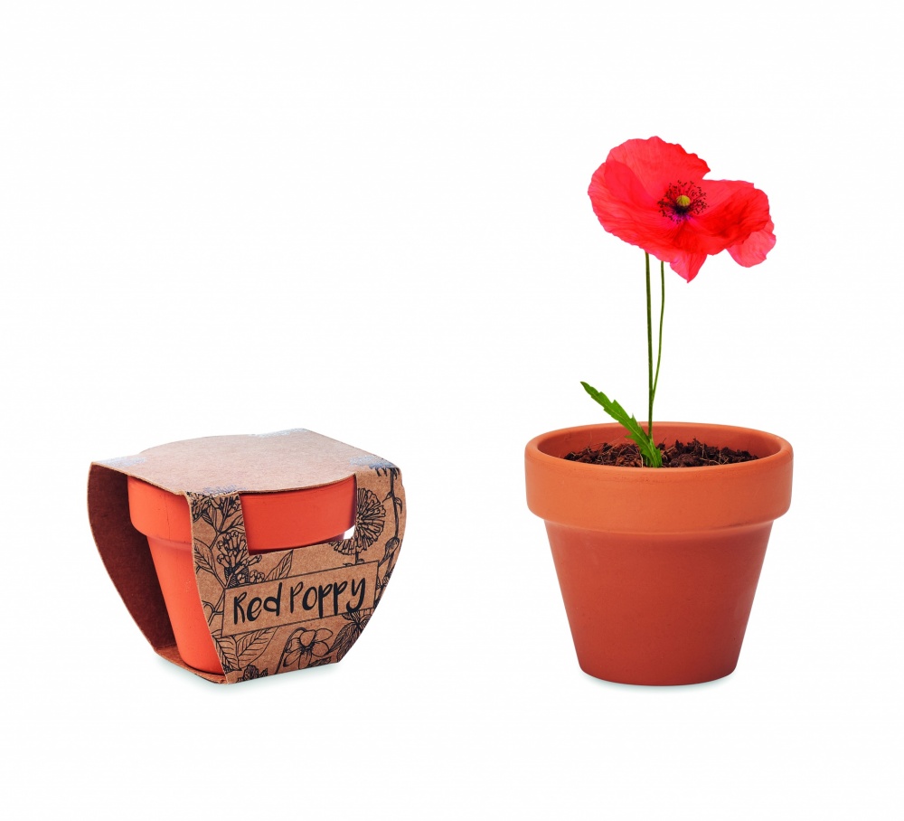 Logotrade advertising product picture of: Terracotta pot 'poppy'