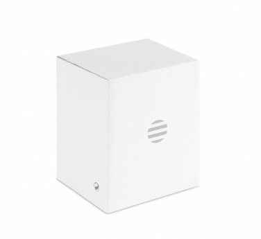 Logo trade promotional giveaway photo of: 1080P HD webcam and ring light