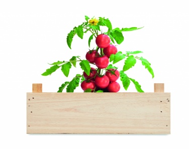 Logo trade advertising products image of: Tomato kit in wooden crate