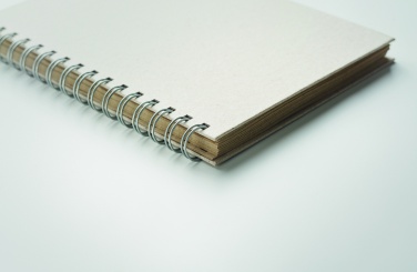 Logotrade promotional giveaway image of: A5 grass notebook 80 lined