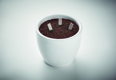 Logo trade promotional product photo of: Herb seeds sticks