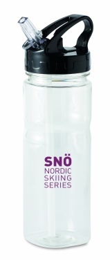 Logotrade promotional giveaway image of: 500 ml PCTG bottle