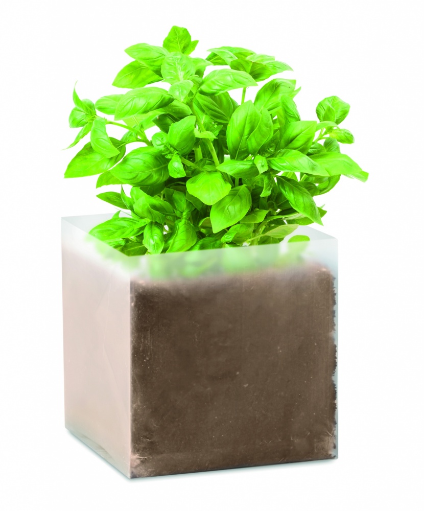 Logotrade promotional gift image of: Compost with seeds "BASIL"