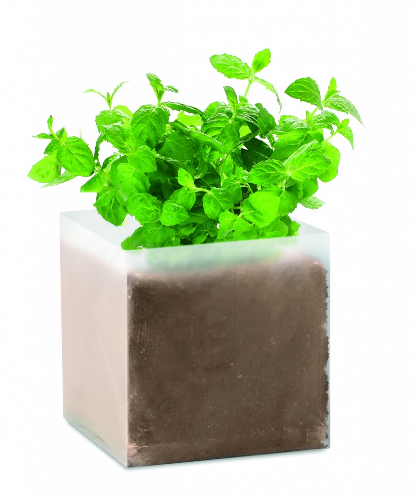 Logo trade promotional merchandise photo of: Compost with seeds "MINT"