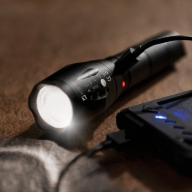 Logotrade promotional gifts photo of: Flashlight DELGADA Schwarzwolf