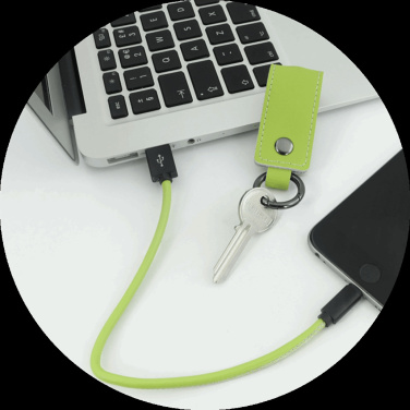 Logotrade promotional product picture of: Keyring 59612900