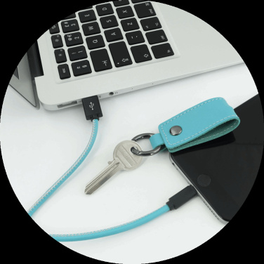 Logo trade promotional product photo of: Keyring 59612900