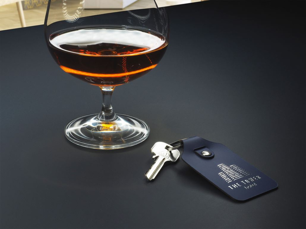 Logotrade promotional giveaway image of: Keyring 1200094