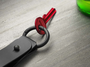 Logotrade advertising product image of: Keyring 1709094