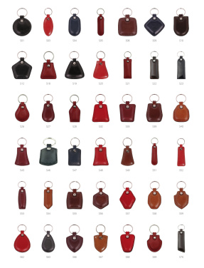 Logotrade advertising product image of: Keyring 178011