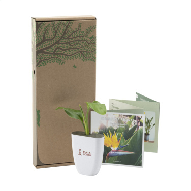 Logo trade promotional giveaway photo of: Treemore Letterbox Trees Bird of Paradise plant