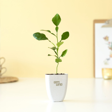 Logo trade promotional products picture of: Treemore Letterbox Trees Kaffir Lemon