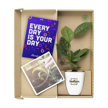 Logo trade promotional merchandise picture of: Treemore Letterbox Trees Tea plant