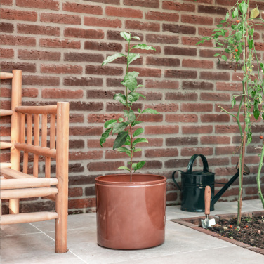 Logo trade promotional product photo of: Treemore Letterbox Trees Tea plant