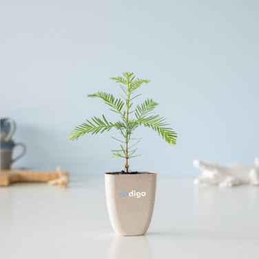 Logo trade advertising product photo of: Treemore Letterbox Trees Giant Sequoia