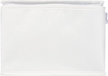 Logotrade promotional gifts photo of: Spectrum 6-can recycled non-woven cooler bag 4L
