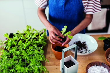 Logotrade promotional giveaway image of: Indoor garden with LED light