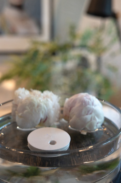 Logotrade promotional gift picture of: Breevia RCS rplasic re-chargeable floating humidifier