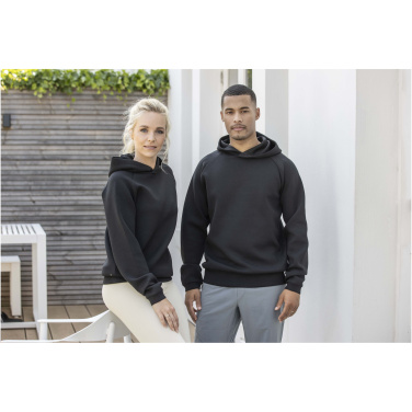Logotrade promotional product image of: Danali unisex interlock sports hoodie