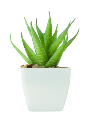 Logo trade corporate gifts picture of: Mini artificial plant