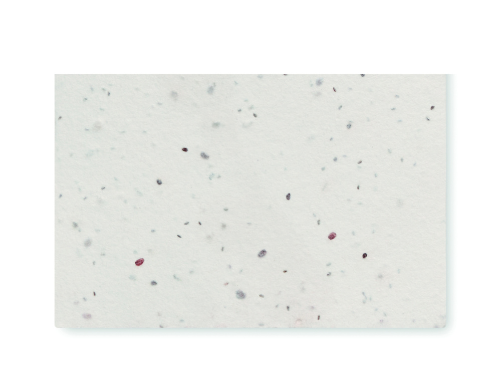 Logo trade promotional giveaways image of: Wildflower seed business card.