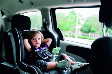 Logo trade firmakingi pilt: Tritani pudel 450 ml