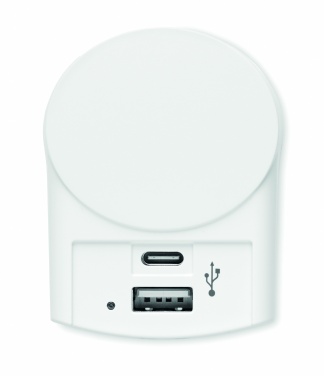 Logotrade reklaamkingituse foto: Skross Euro USB laadija (AC)