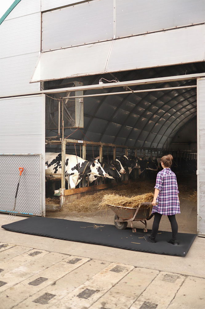 Logo trade firmakingituse pilt: Üle sõidetav desinfektsioon matt 120x400x4cm 1367087