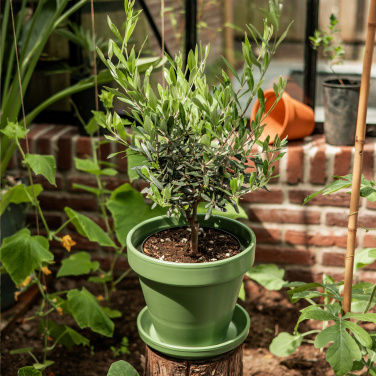 Logotrade reklaamkingi foto: Treemore Letterbox Trees Olive