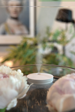 Logotrade ärikingituse foto: Breevia RCS plastikust laetav ujuv õhuniisutaja