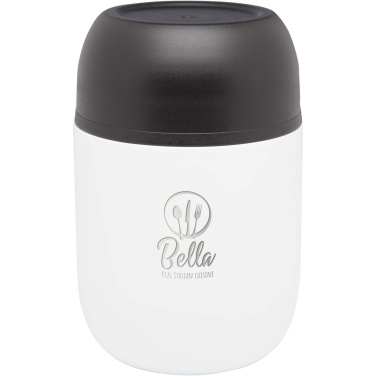 Logo trade reklaamkingituse pilt: Supo 480 ml topeltseinaga lõunasöögitermos