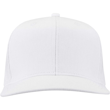 Logo trade reklaamtoote pilt: Drift Snapback 260 g/m2 6 paneeliga nokamüts