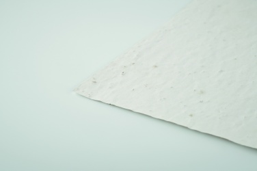 Logotrade mainoslahja tuotekuva: Niittykukan siemeniä A6