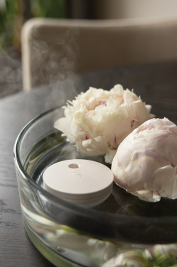 Лого трейд pекламные подарки фото: Breevia RCS rplasic перезаряжаемый плавающий увлажнитель воздуха