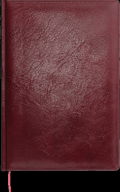 Logotrade kampanjprodukter bild: Kalender 645131